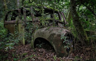 Abandoned rusty metal amidst trees in forest