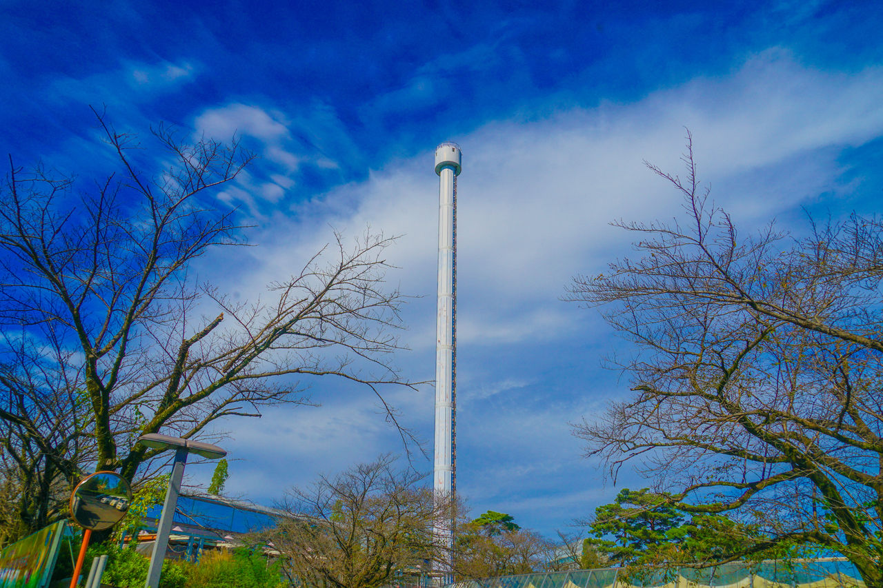 sky, tree, plant, cloud, nature, blue, no people, environment, low angle view, wind, sunlight, outdoors, beauty in nature, grass, architecture, bare tree, day, scenics - nature, land, social issues, flower, landscape