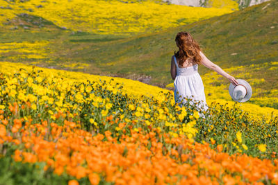 Rear view of woman standing amidst yellow flowering plants on field