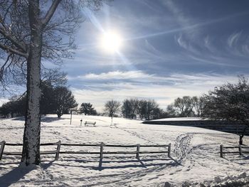 Trees on snow covered field against sky