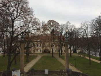 Trees in cemetery against sky