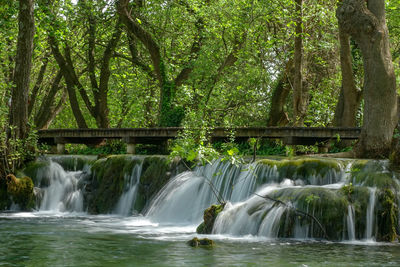 Scenic view of waterfall in forest