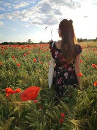 Rear view of woman on poppy field against sky