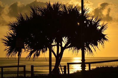 Silhouette of palm trees at sunset