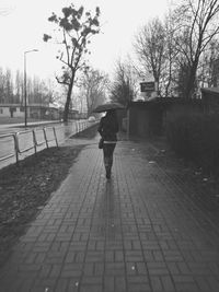 Rear view of woman walking on road