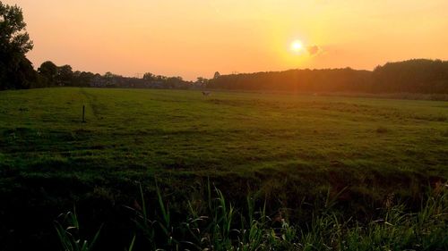 Scenic view of field against sky during sunset