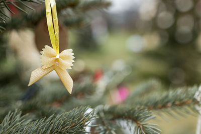 Handmade decoration made of farfalle pasta and penne pasta on a christmas tree. diy ideas