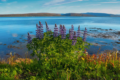 Scenic view of lake by mountain against sky