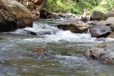 Scenic view of river