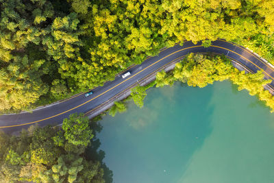 High angle view of road amidst trees