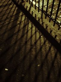 shadow