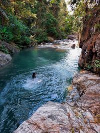 River flowing through rocks in forest