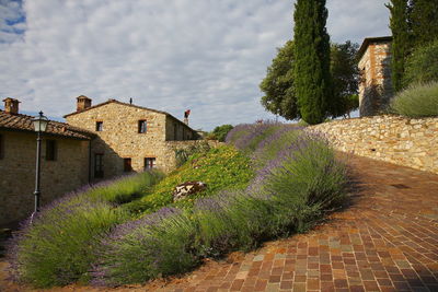 High angle view of chianti region, italy