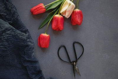 Red tulips on gray stone table, top view