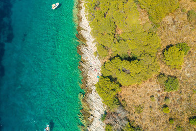 High angle view of rocks on beach