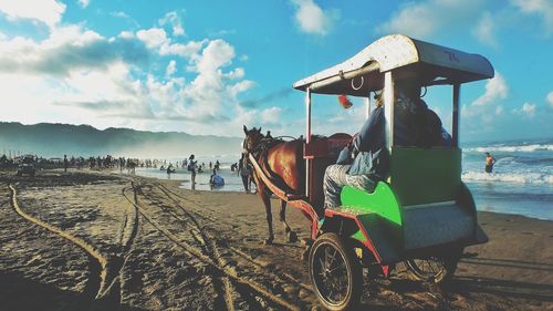 View of horse cart on road