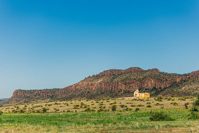 Scenic view of field against clear blue sky