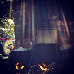 View of trees at night