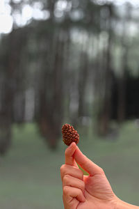 Close-up of hand holding ice cream