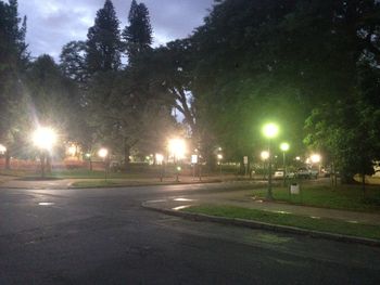 Empty road in park at night