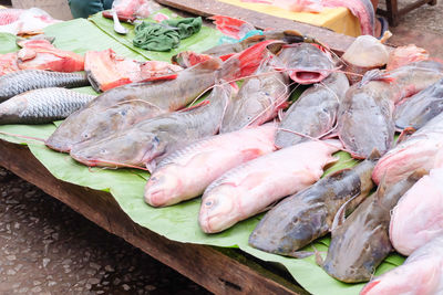 High angle view of fish for sale in market