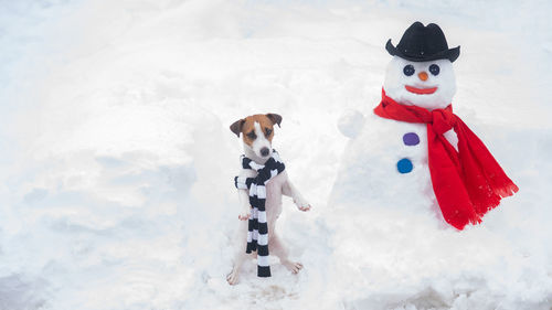 View of dog with snowman during winter