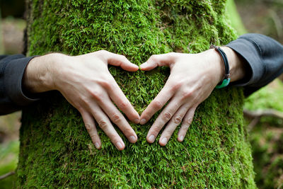 Cropped hand gesturing heart shape on tree trunk