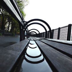 Railing along trees