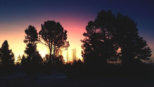 Silhouette trees against sky during sunset