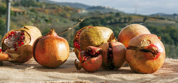 Close-up of fruits