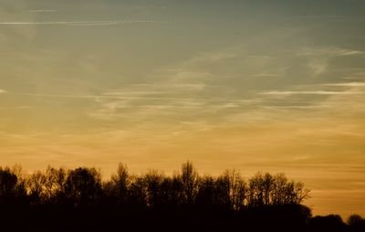 Silhouette trees against sky during sunset