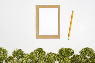 Close-up of colored pencils against white background