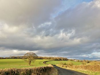 Road amidst agricultural field against sky