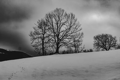 Bare tree on snow field against sky