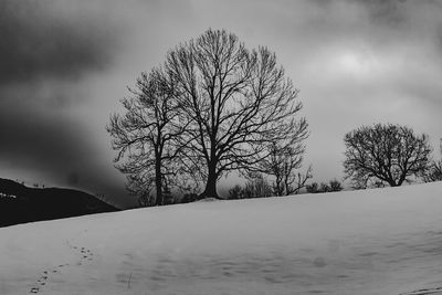 Bare tree on snow field against sky