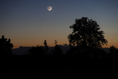 Silhouette trees against sky at night