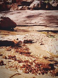 View of rocks in water