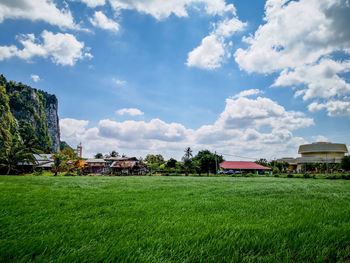 Scenic view of field against sky