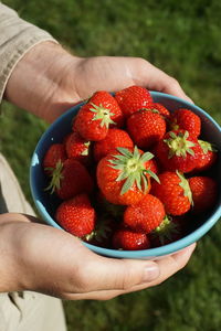 Cropped hands of person holding strawberries in bowl