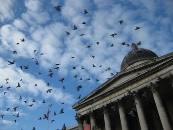 Low angle view of birds flying over building against cloudy sky