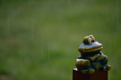 Close-up of statue