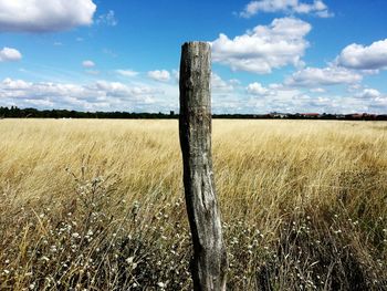 Scenic view of grassy field against sky