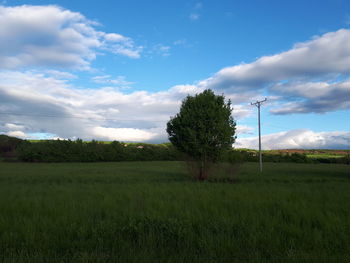 Scenic view of field against sky