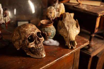 Close-up of animal skull on table