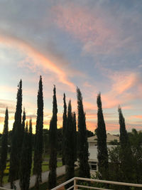 Panoramic shot of trees on landscape against sunset sky