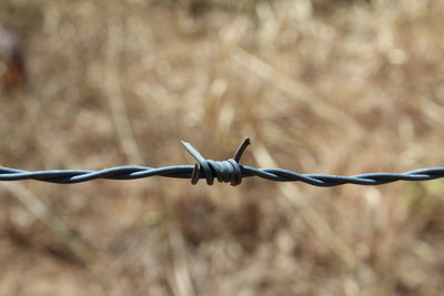 Close-up of barbed wire fence on field