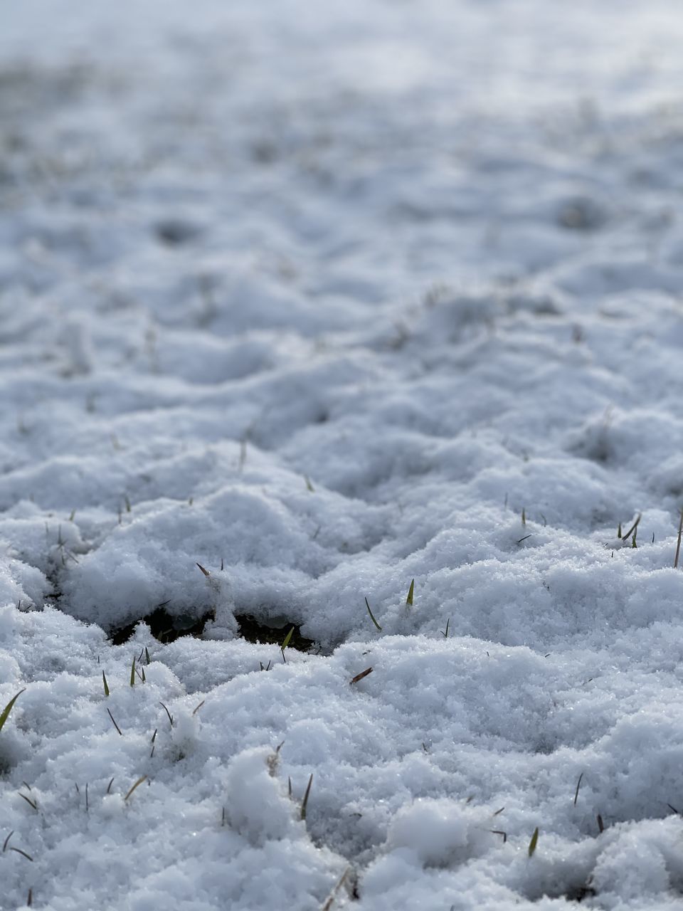 winter, snow, freezing, ice, cold temperature, no people, nature, frost, beauty in nature, day, tundra, land, frozen, environment, white, tranquility, outdoors, water, landscape, scenics - nature