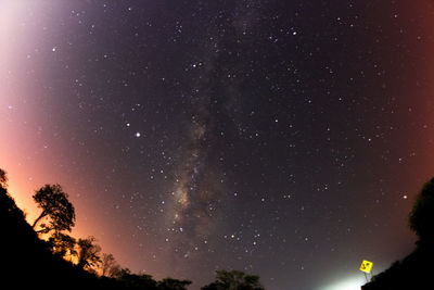 Low angle view of silhouette trees against sky at night