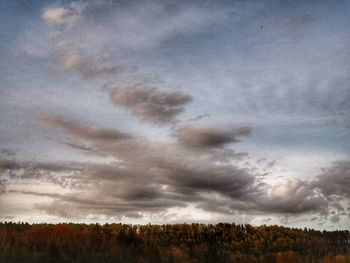 Scenic view of trees on field against sky