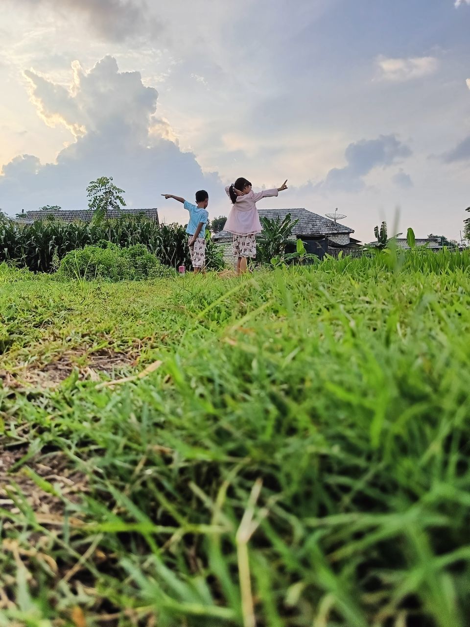 agriculture, field, grass, plant, rural area, sky, crop, landscape, rural scene, land, green, nature, meadow, flower, environment, paddy field, cloud, adult, occupation, farm, food, food and drink, growth, farmer, men, working, plantation, outdoors, two people, harvesting, vegetable, beauty in nature, child, women, day, grassland, childhood, cereal plant, lawn